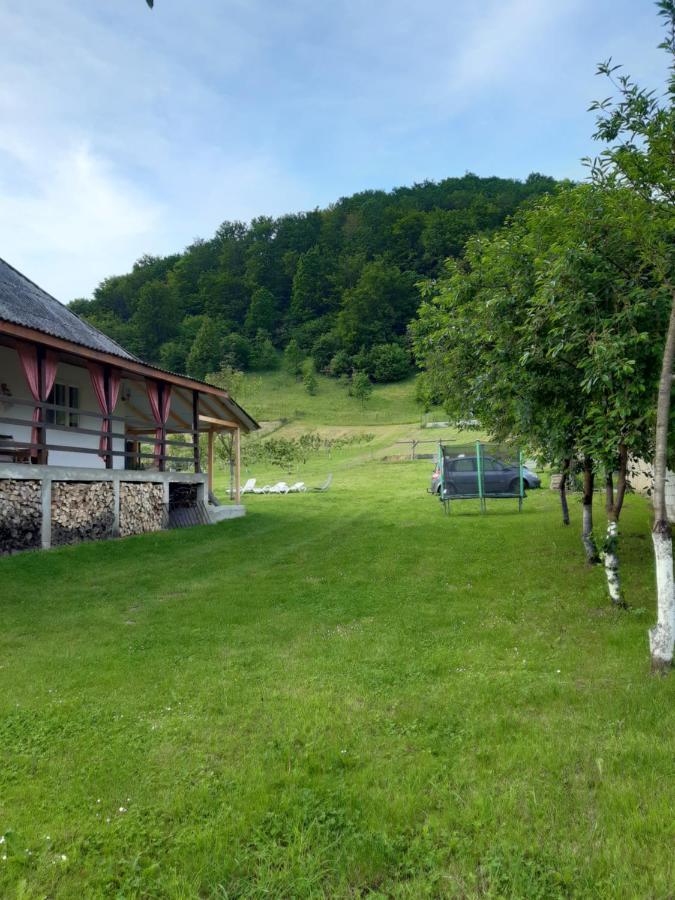 Casa Dyasof