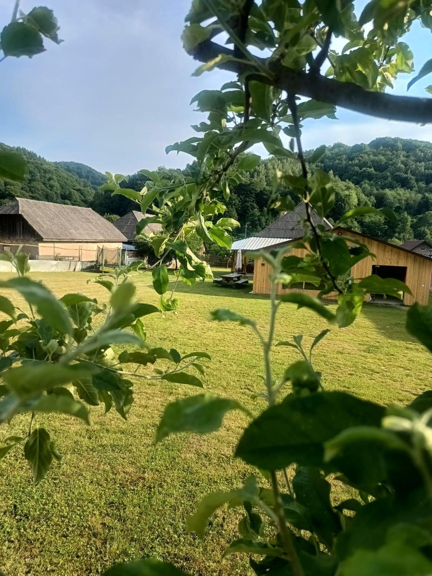 Casa Dyasof * Rohia